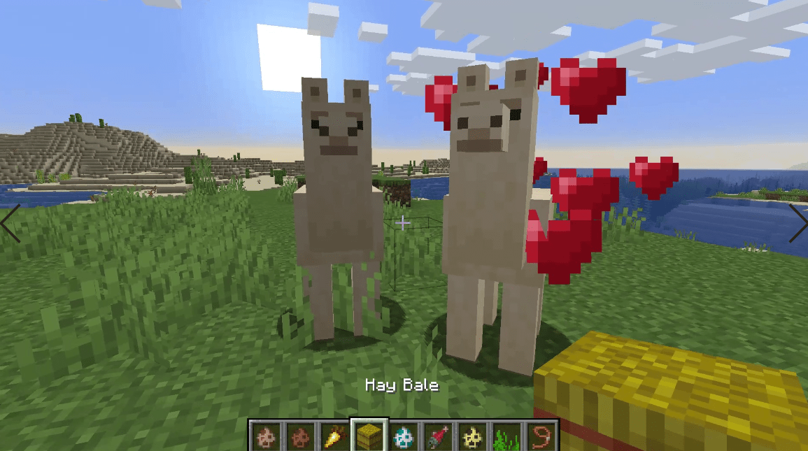 Minecraft Animal Breeding Guide HowTo Breed All Animals! (2021