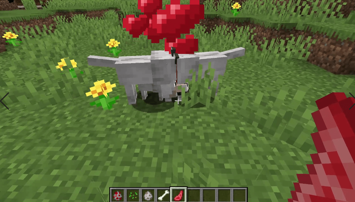 Minecraft Animal Breeding Guide HowTo Breed All Animals! (2021