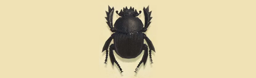 How to Catch a Dung Beetle Animal Crossing New Horizons Pro Game Guides