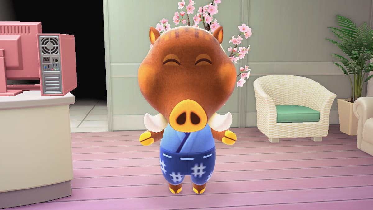 How to get Turnips in Happy Home Paradise Animal Crossing New