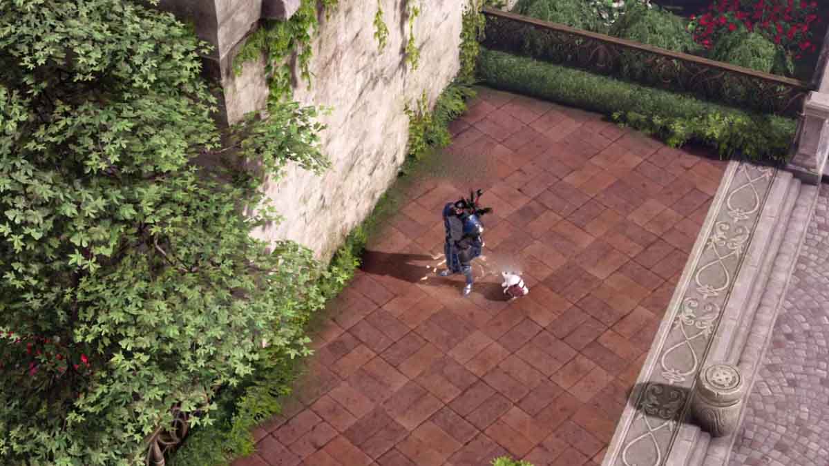 All locations of Mokoko Seeds in Rania Village in Lost Ark The Hiu