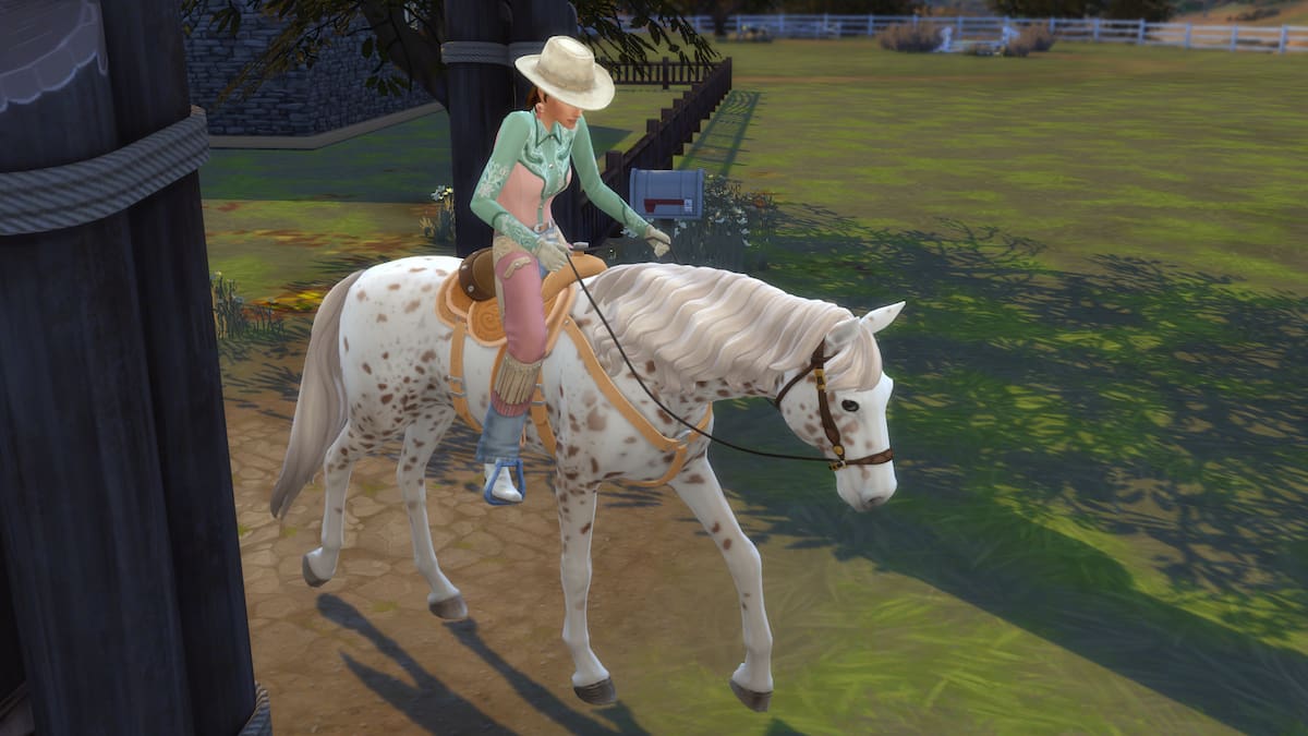 How to train horses in Sims 4 Horse Ranch Pro Game Guides