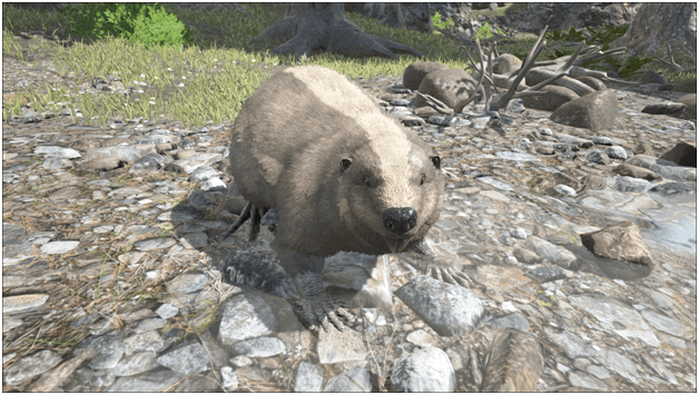 Ark Castoroides Guide (Abilities, Taming, Food, Saddle, Breeding, Drops