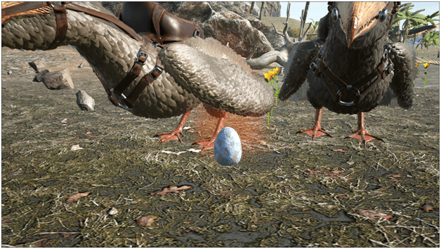Ark Pelagornis Guide (Abilities. Taming. Food. Saddle. Breeding. Drops Location) ProGameTalk