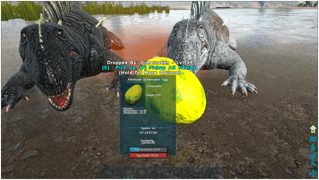 Ark Dimetrodon Guide (Abilities, Taming, Food, Saddle, Breeding, Drops & Location) ProGameTalk