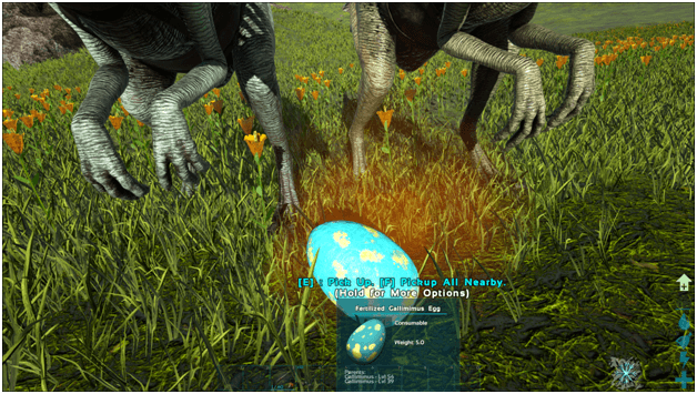 Ark Gallimimus Guide (Abilities, Taming, Food, Saddle, Breeding, Drops & Location) ProGameTalk