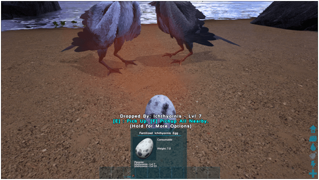 Ark Ichthyornis Guide (Abilities. Taming. Food. Saddle. Breeding. Drops Location) ProGameTalk