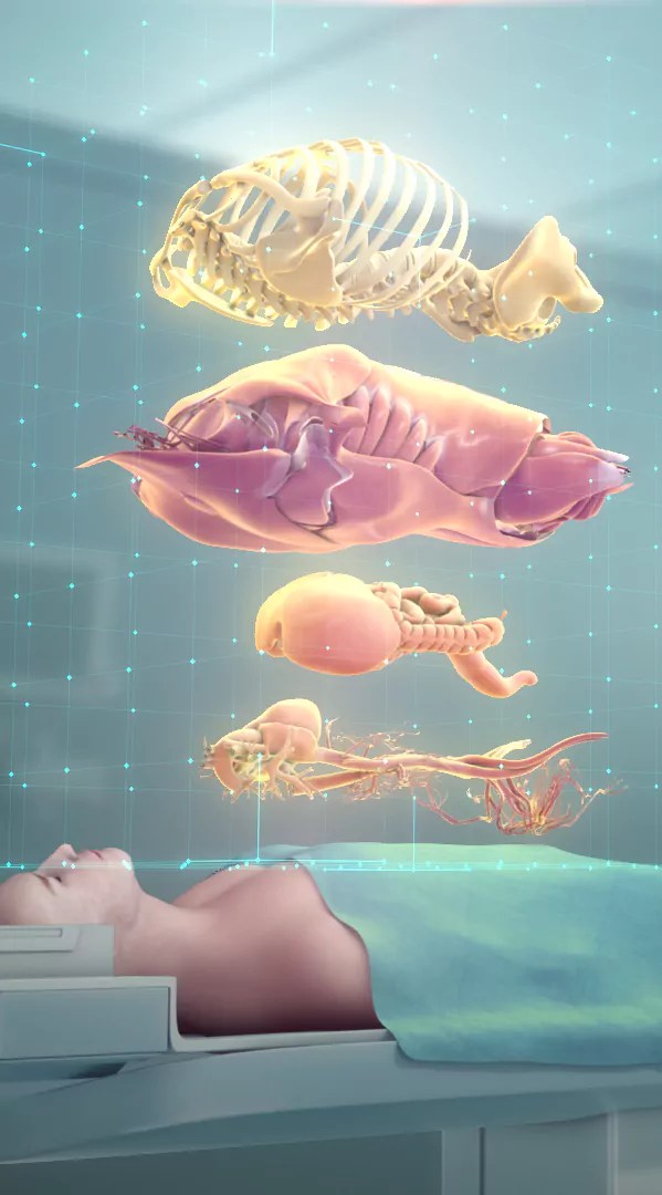 Top 7 Ways to Use Augmented Reality in Healthcare ProgramAce