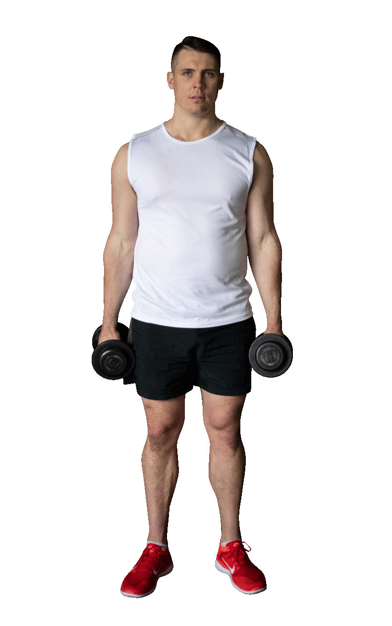 hammer curl Rapid Loss® Program