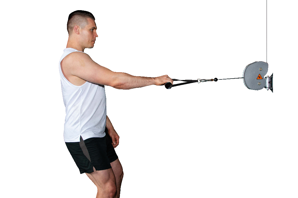 standing cable row Rapid Loss® Program