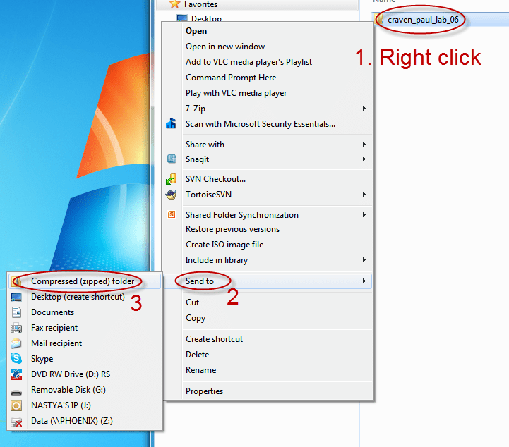 Free online zip file wplex
