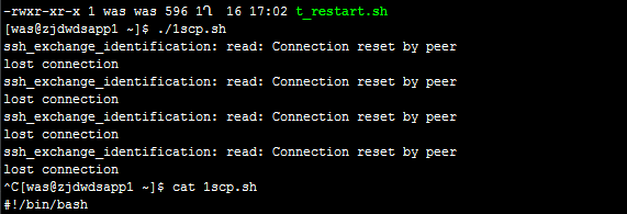 ssh ProgrammerAH