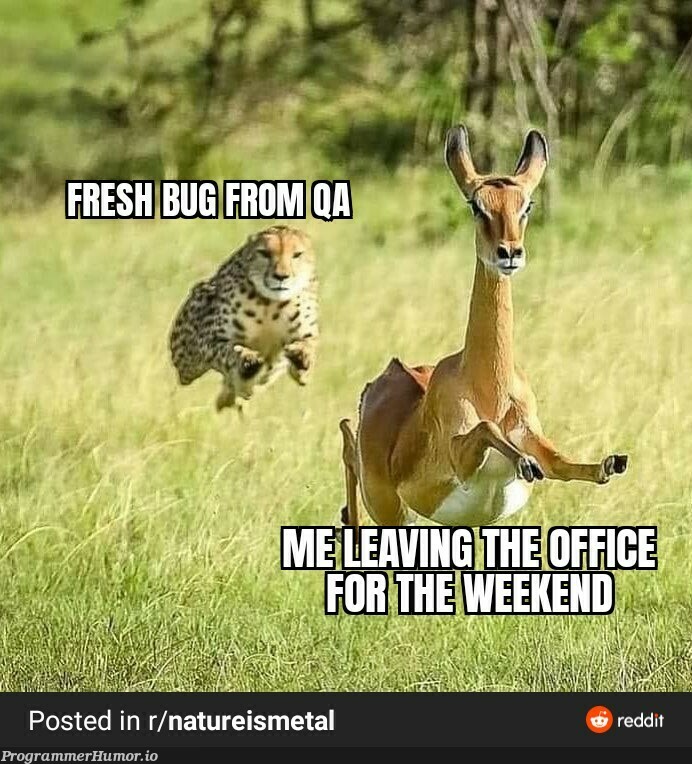 yippee ki yay mf ProgrammerHumor.io