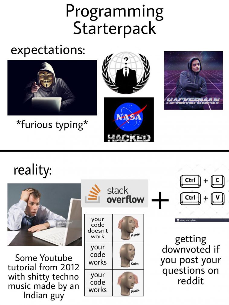 Programming Starterpack (Expectations vs Reality) ProgrammerHumor.io