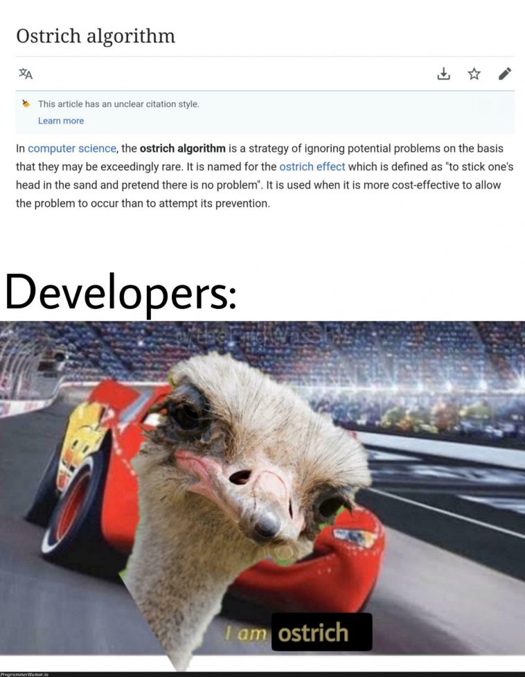 As a UI/UX developer, I am ostrich too ProgrammerHumor.io