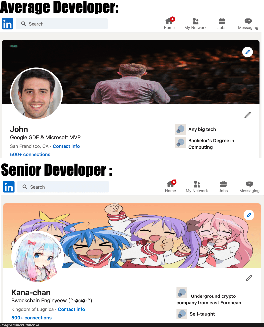 How to identify a senior developer ProgrammerHumor.io