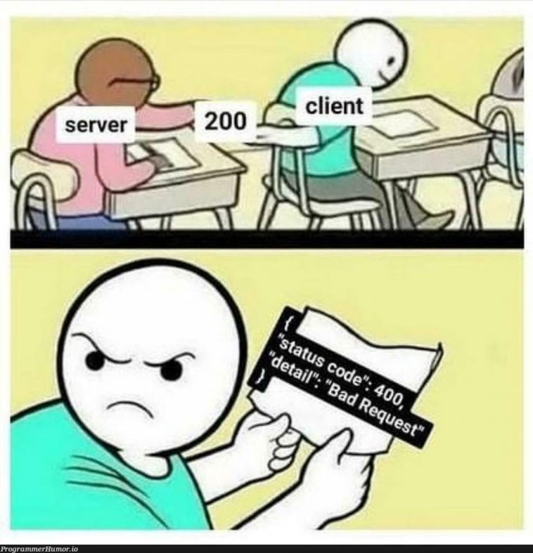 Custom status codes. ProgrammerHumor.io