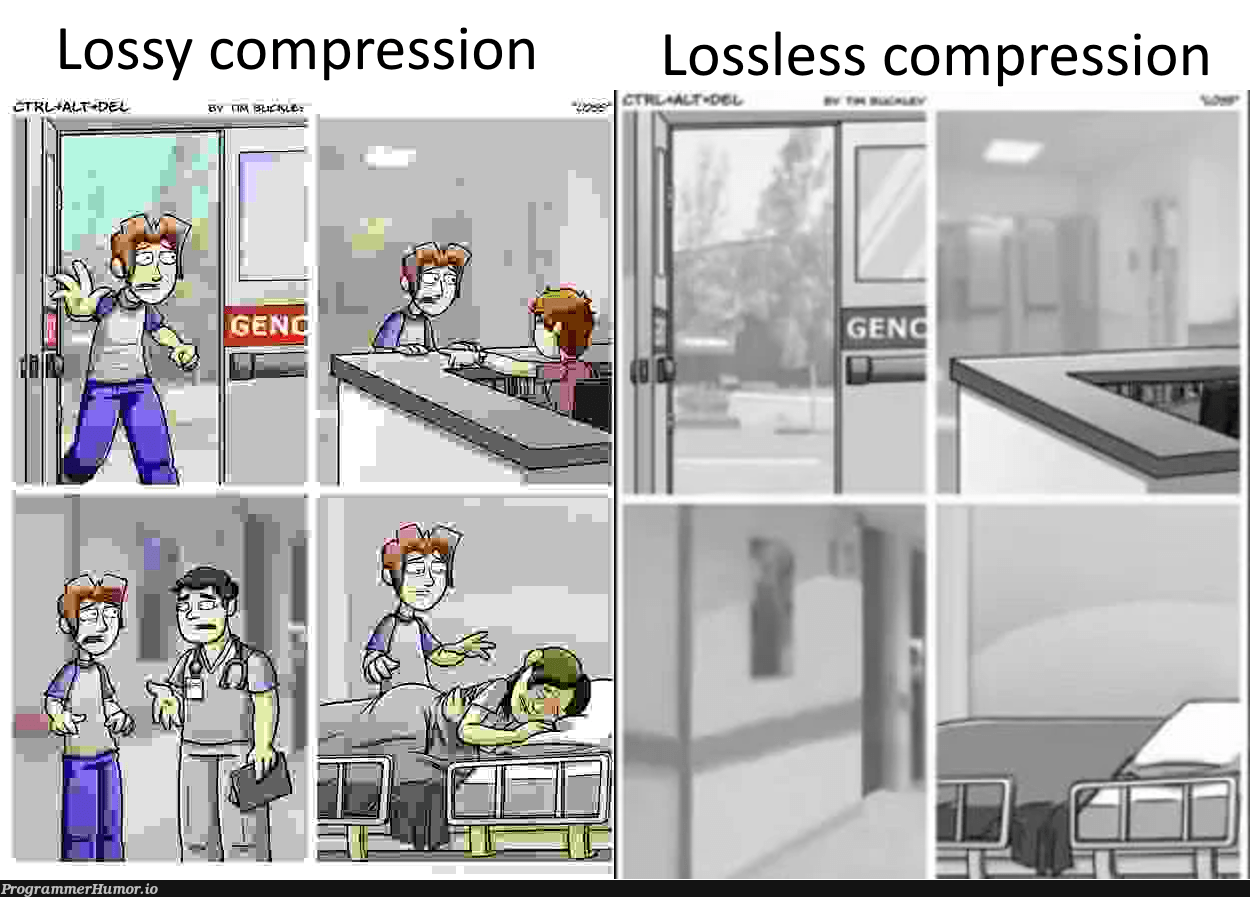 lossless and lossy compression, know the difference ProgrammerHumor.io