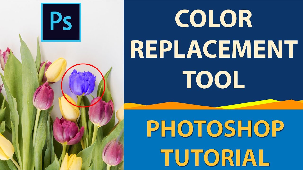 Mastering Color Transformations A Comprehensive Guide to Changing