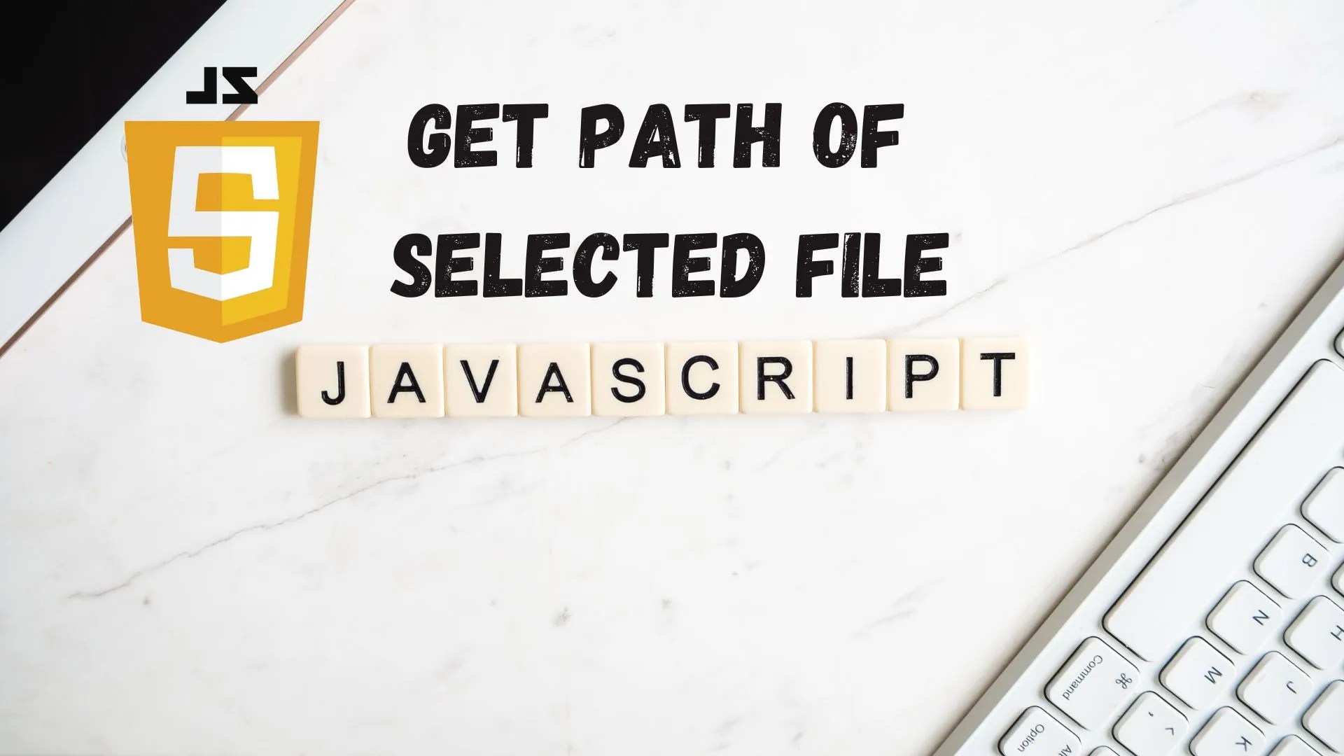 How to get selected image path in Javascript? Programming Geeks Club