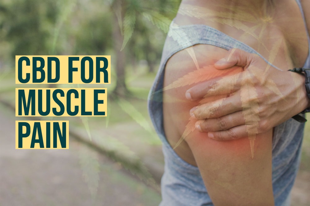 CBD for Muscle Pain Programming Insider