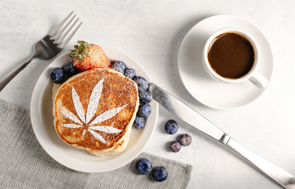 A Beginner’s Guide to Cooking with CBD Programming Insider