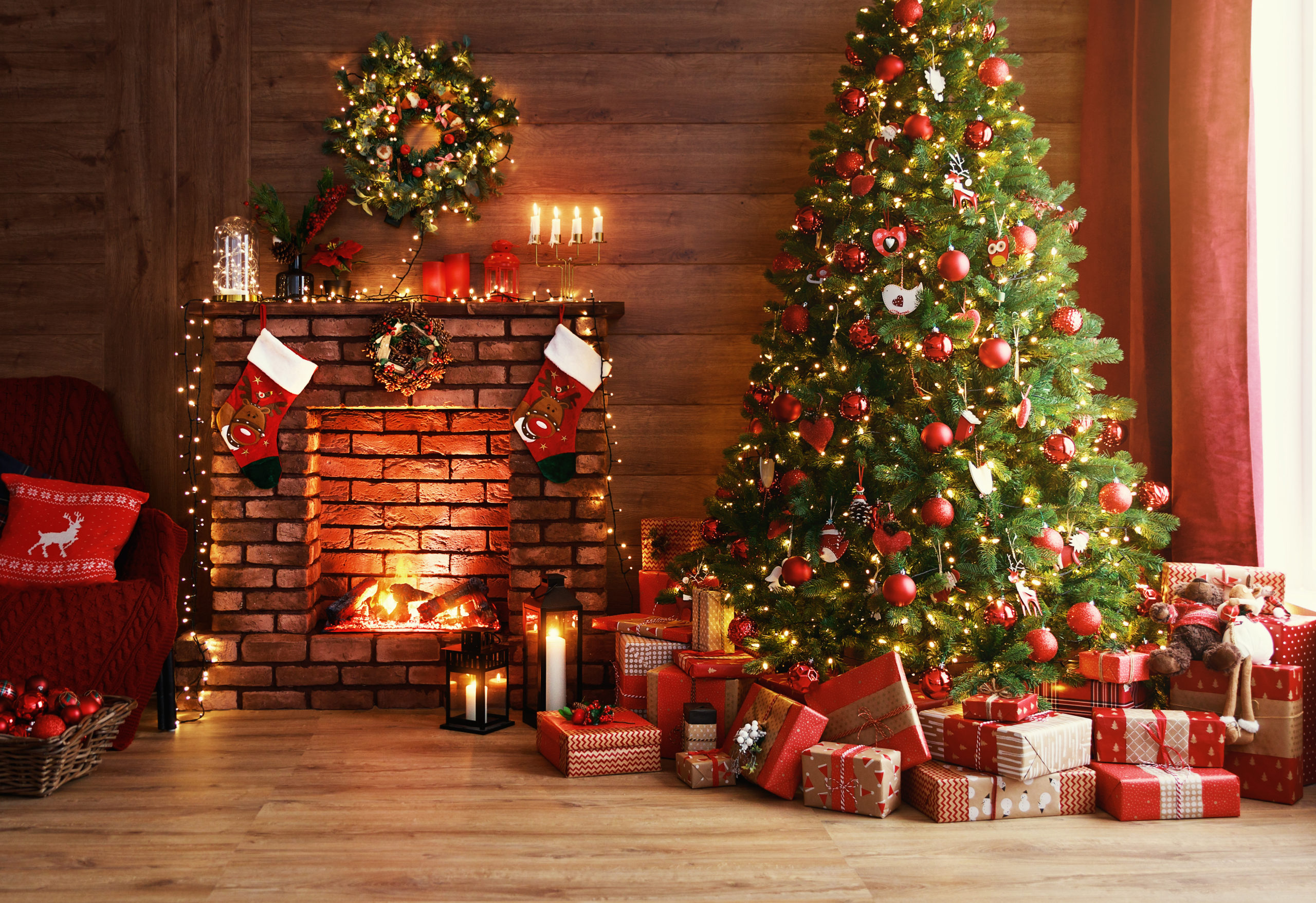 How To Get Rid Of Pests From Your Christmas Tree In Five Simple Steps