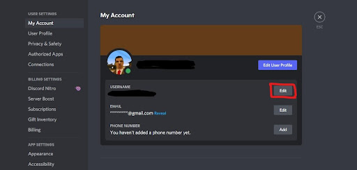 Discord Invisible Name &amp; Avatar (Updated 2022) - Programming Insider