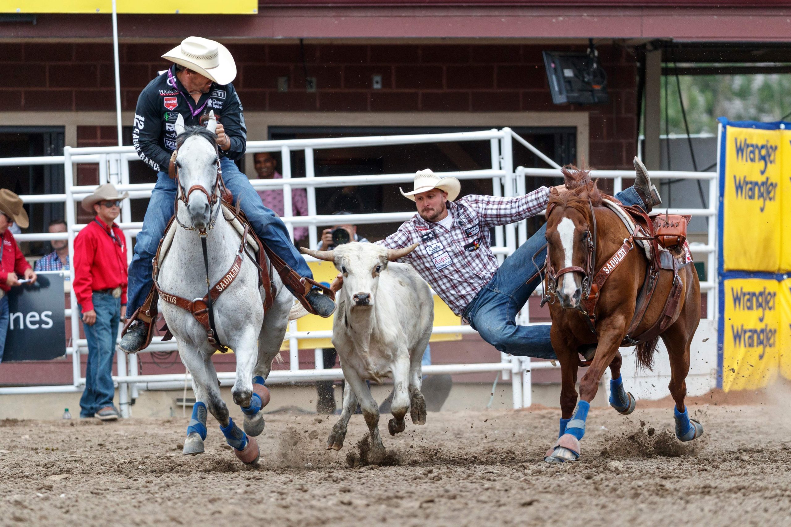 Calgary Stampede 2024 Broadcast Schedule WATCH Calgary Stampede 2022 Live Broadcast and Online TV Coverage