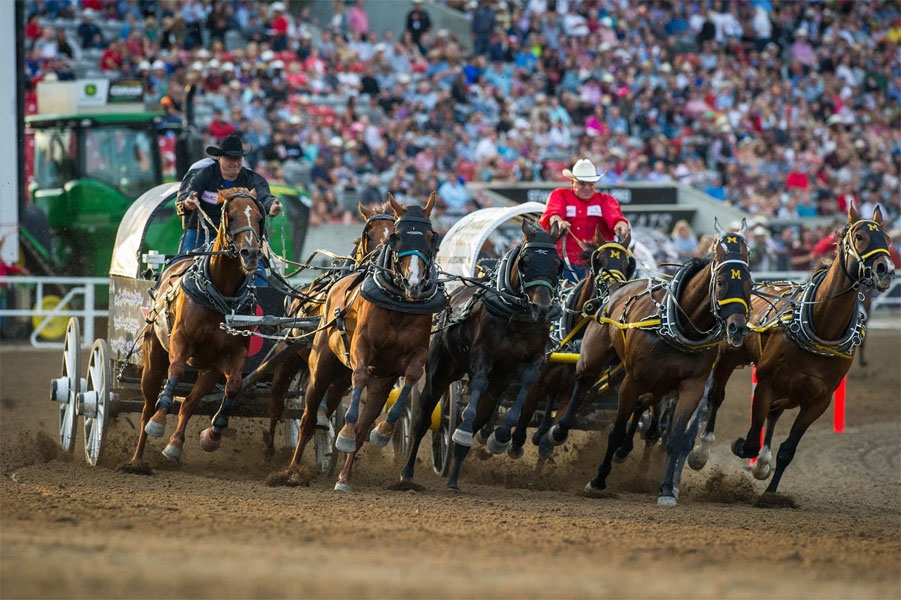 Calgary Stampede July 7-16, 2023 100 Years of Chuckwagons