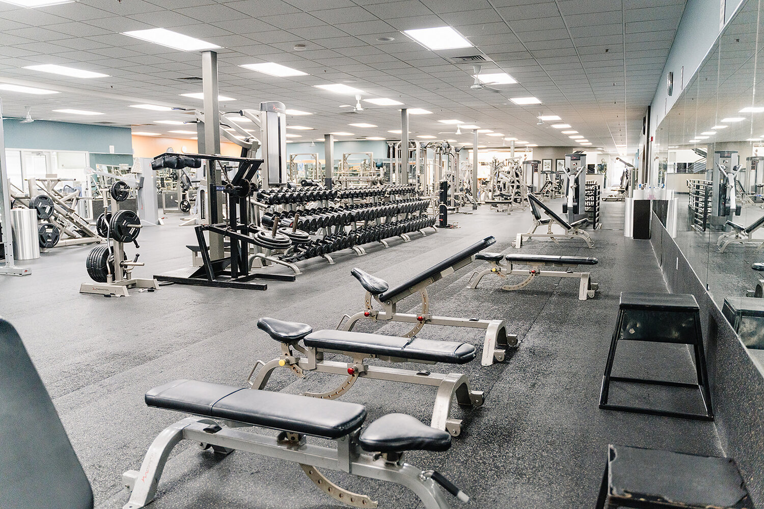 Best Fitness Accessories You Should Get Programming Insider