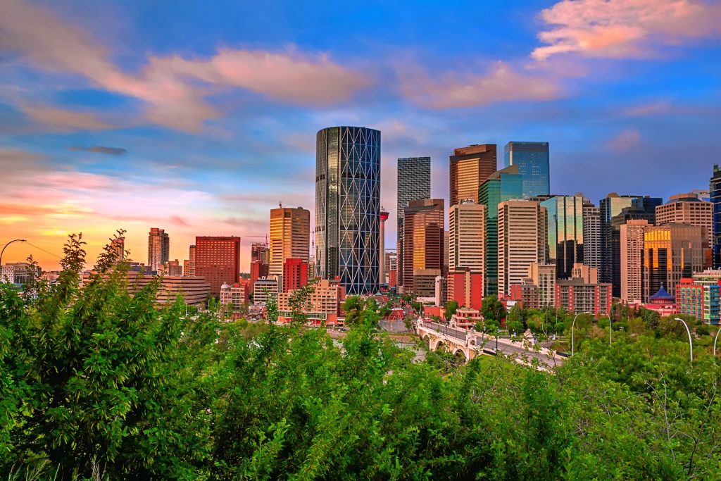 Top Software Development Companies in Calgary Programming Insider