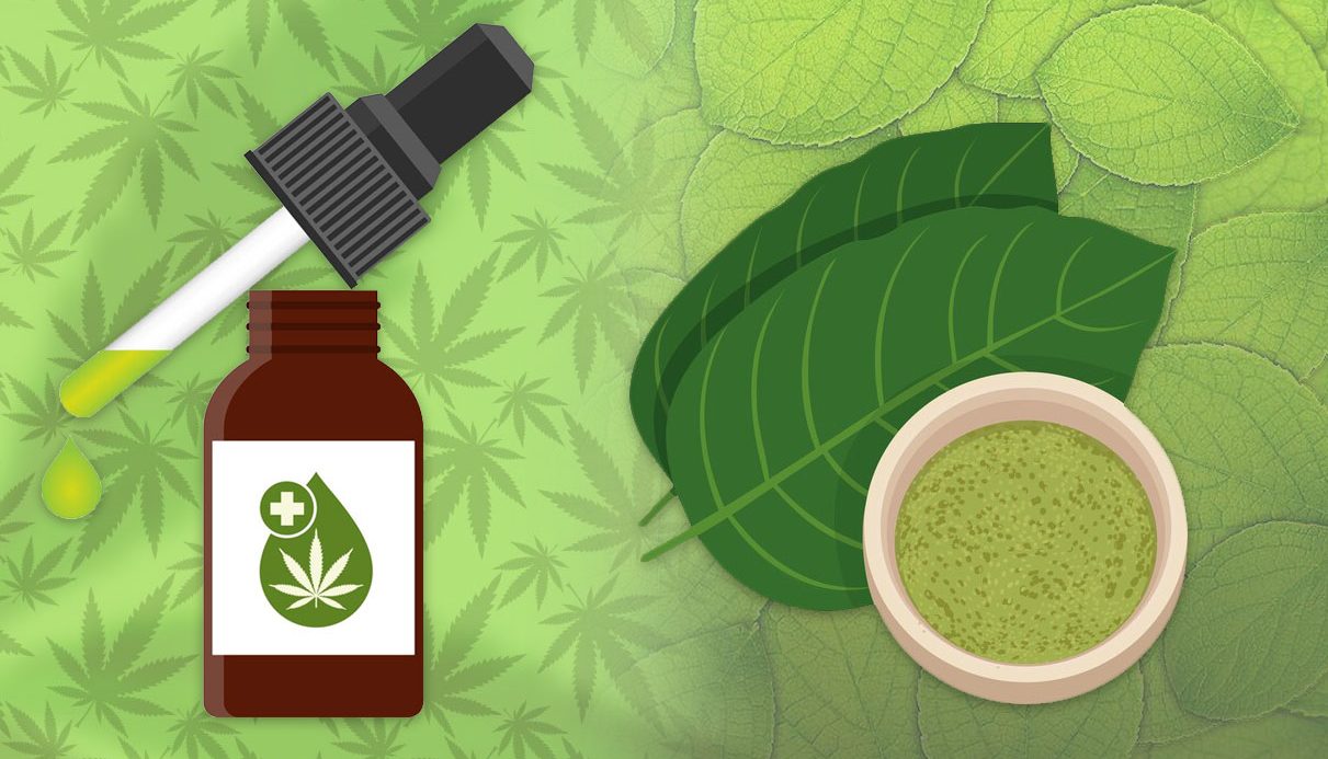 CBD and Kratom Understanding the Key Differences and Benefits Programming Insider CBD And