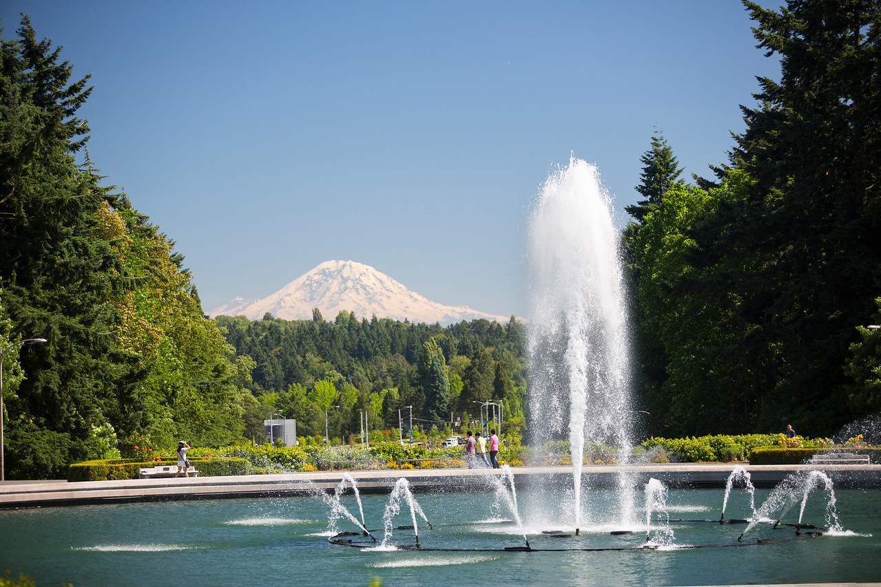 University of Washington School of Dentistry ADEA CAAPID® Program