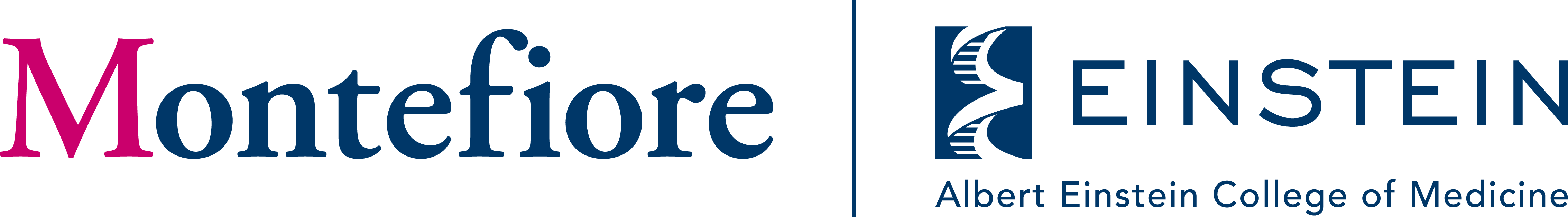 Montefiore Medical Center/Albert Einstein College of Medicine ADEA
