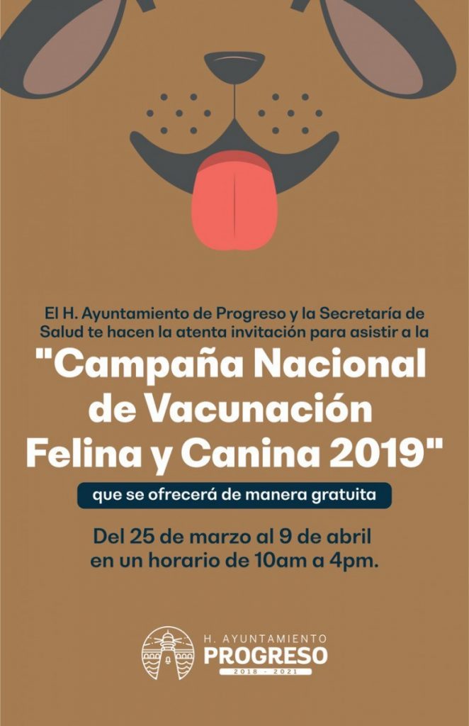 Campaña de vacunación canina y felina en Progreso del 25 de marzo al 9