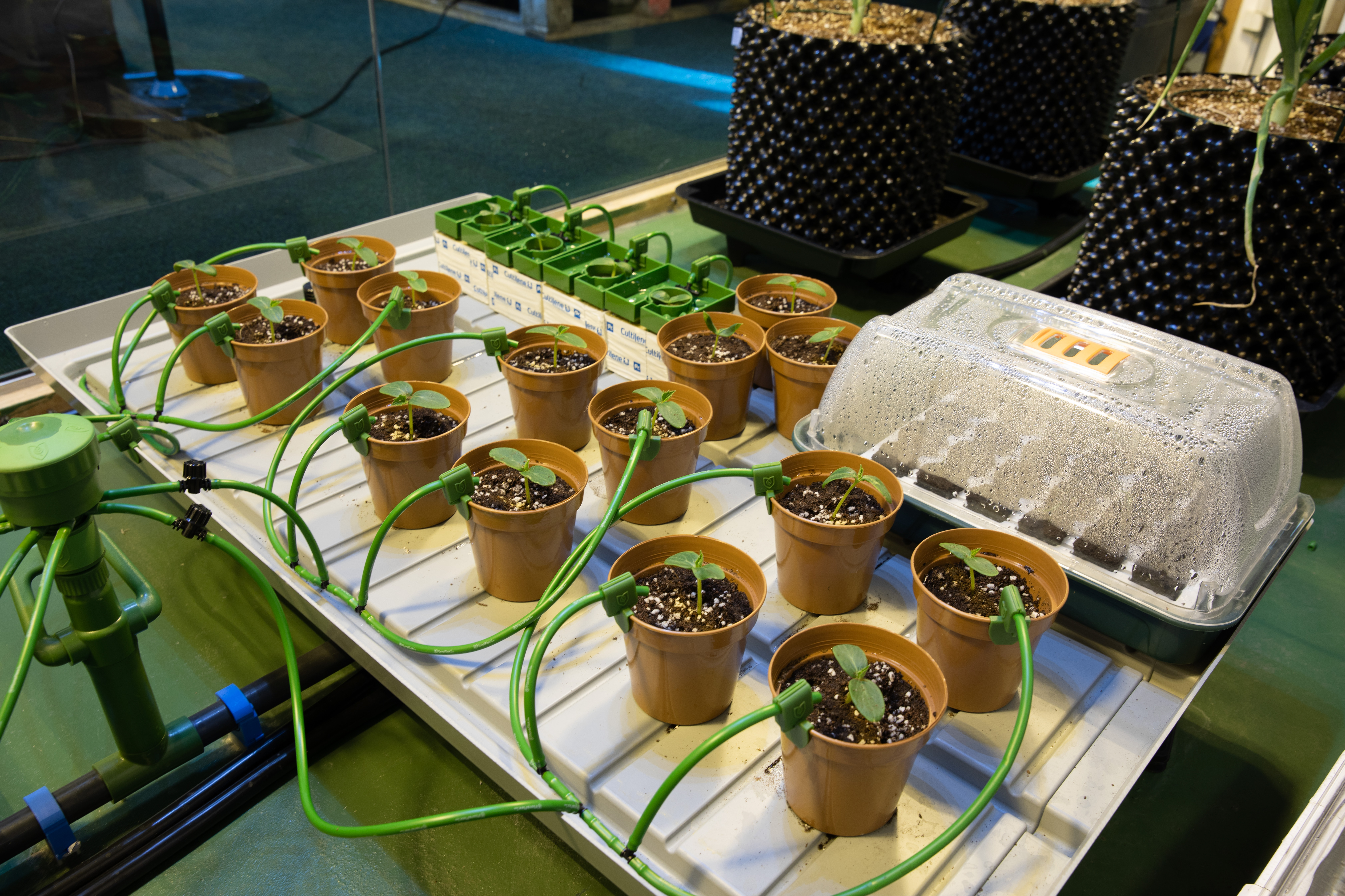 Everything about Floraflex Progrow