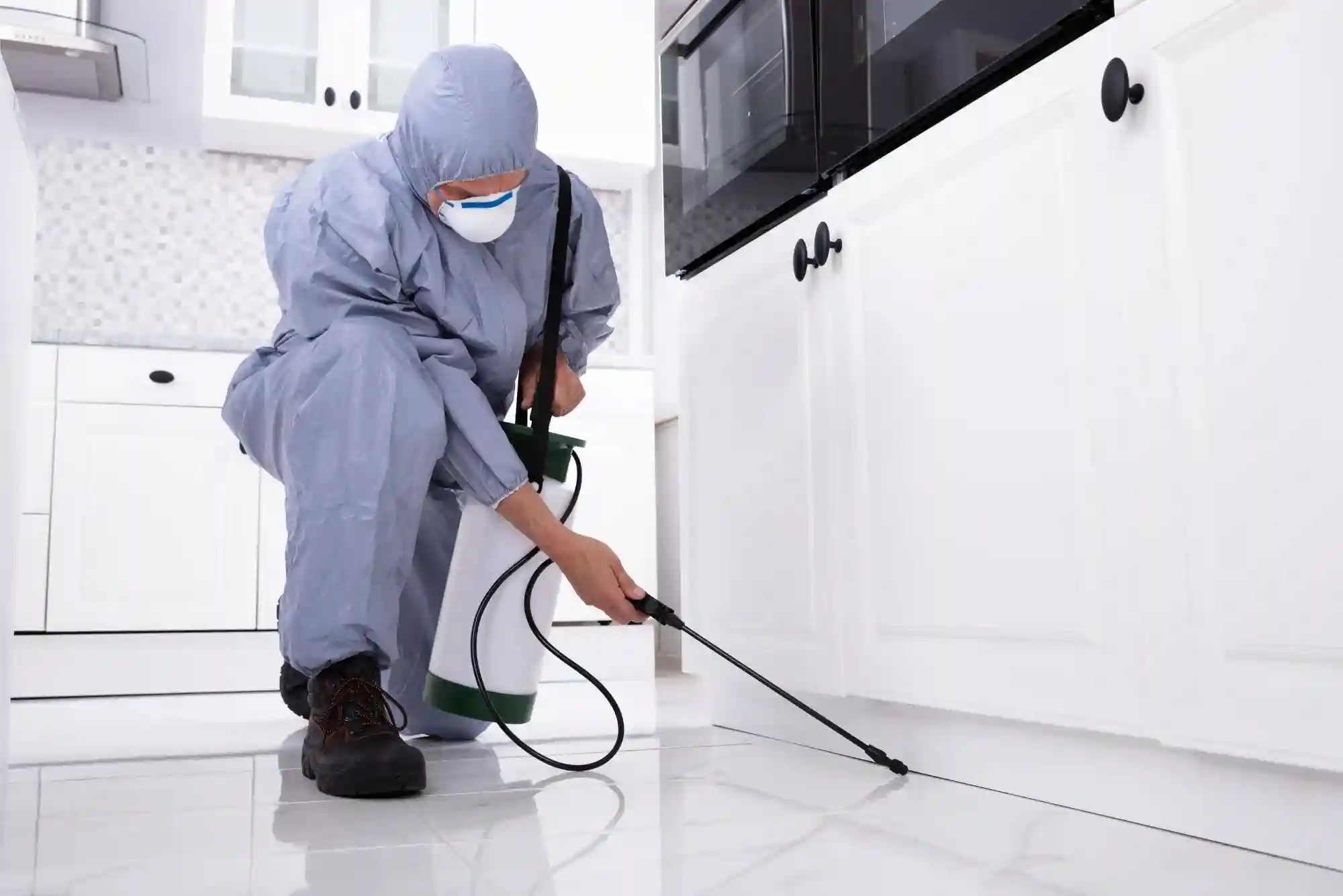 Pest Control Dubai, Abu Dhabi, Sharjah & Ajman at 15 OFF