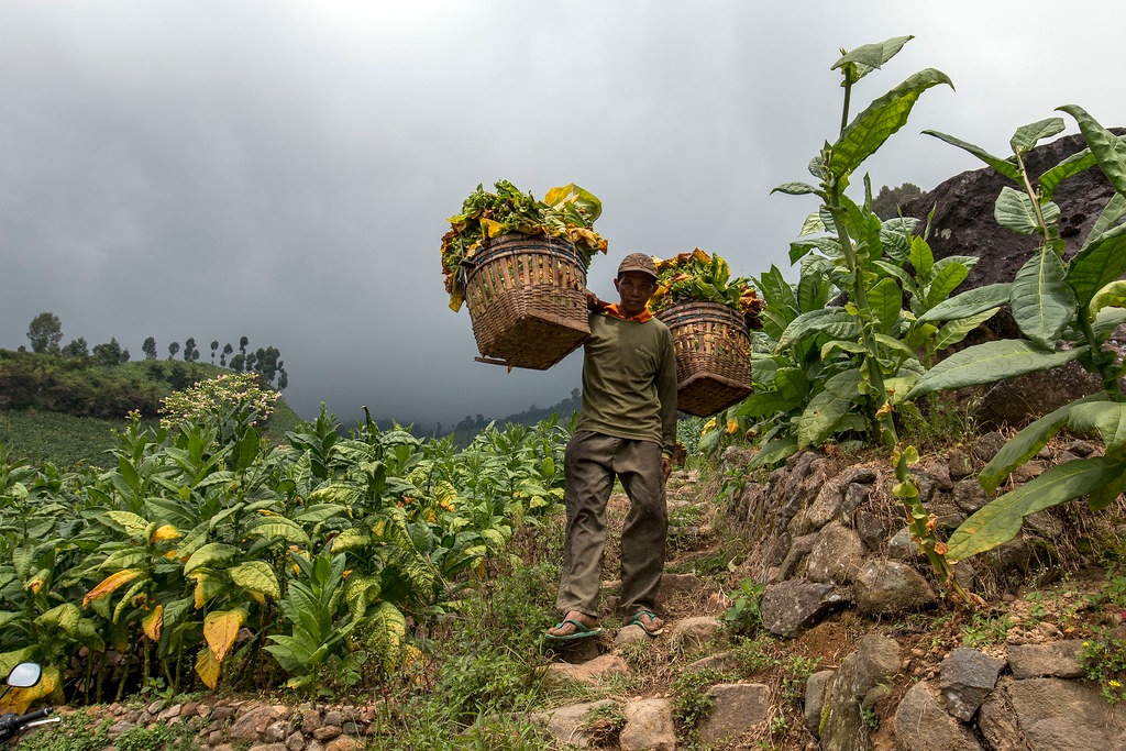 Punya Hak, Petani Ternyata Tak Paham Mekanisme Dana Hasil