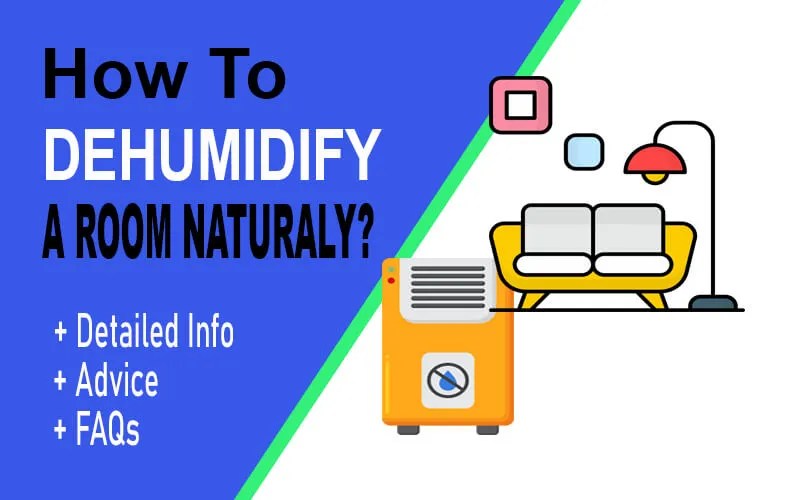 How to Dehumidify a Room Quickly, Naturally and Fast [2023] Expect