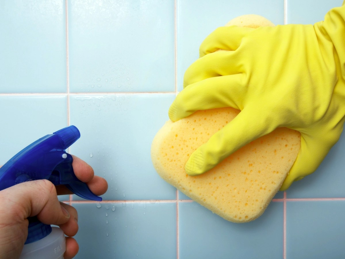 The Guide on How To Get Rid of Pink Mold — Pro Housekeepers