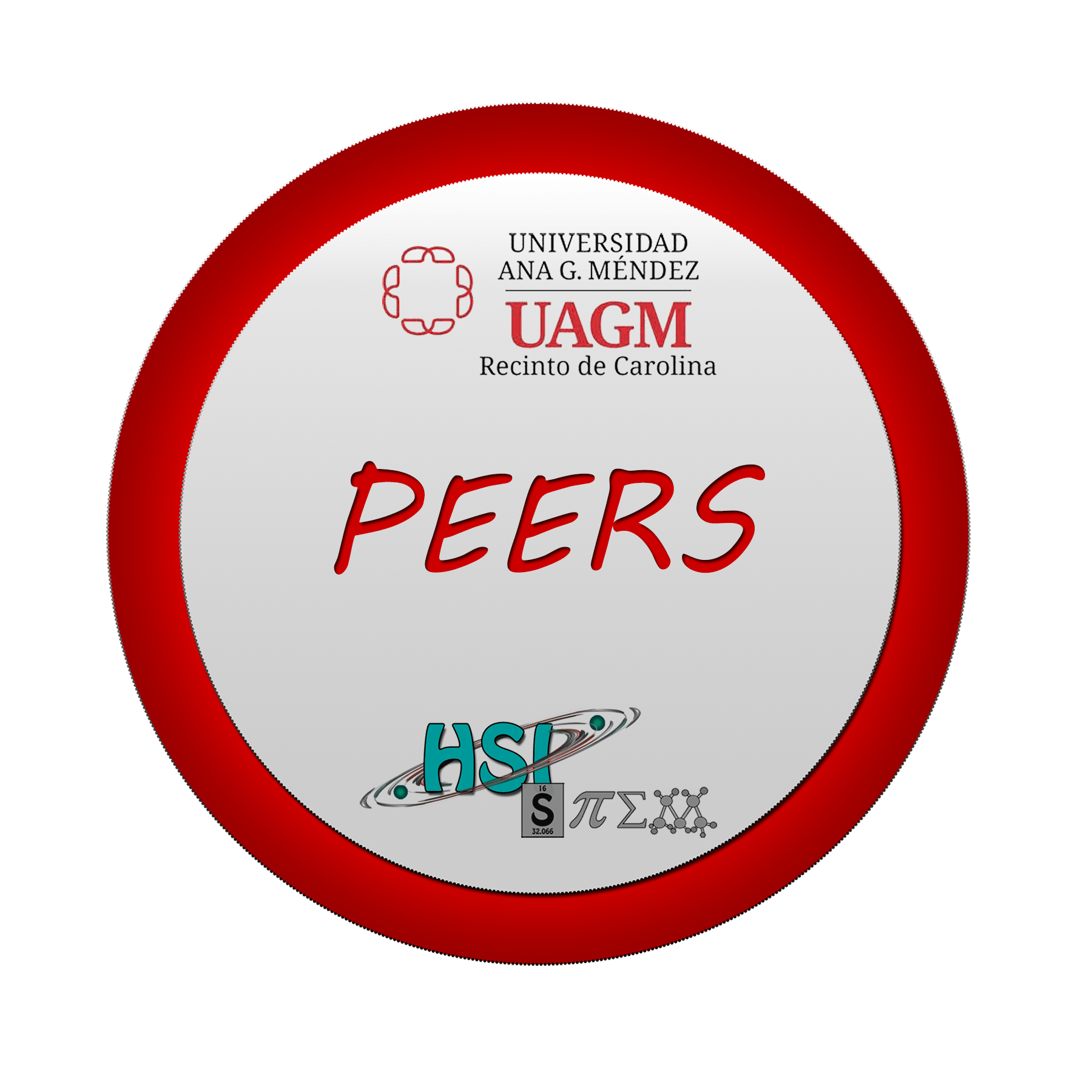 peers Science, Technology, Engineering & Mathematics Competency