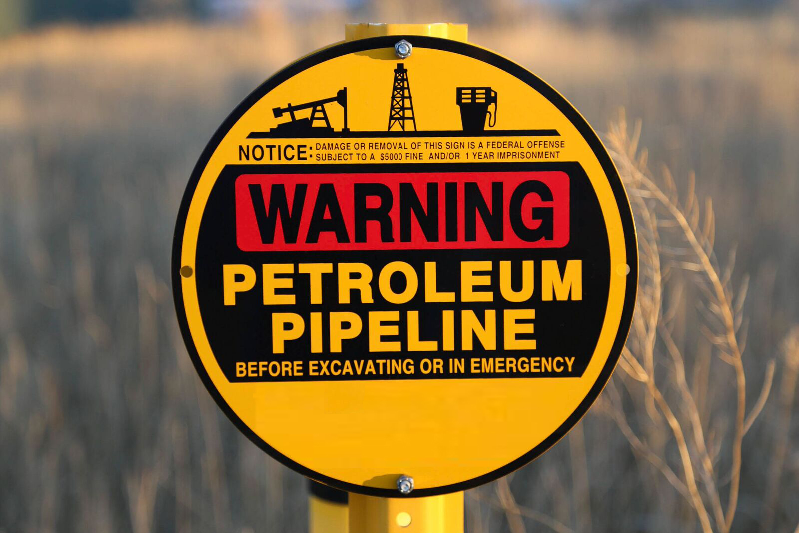 Aerial Pipeline Patrol Project Controls