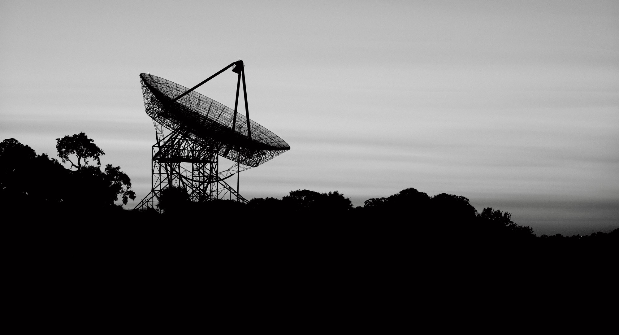 Stanford’s Favorite Dish STANFORD magazine