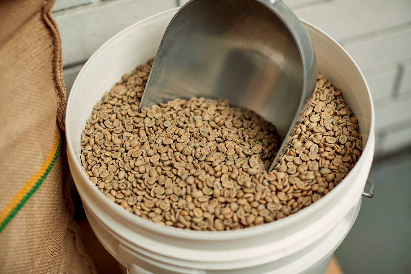 Roasting Rental Project 281 Coffee Roasters