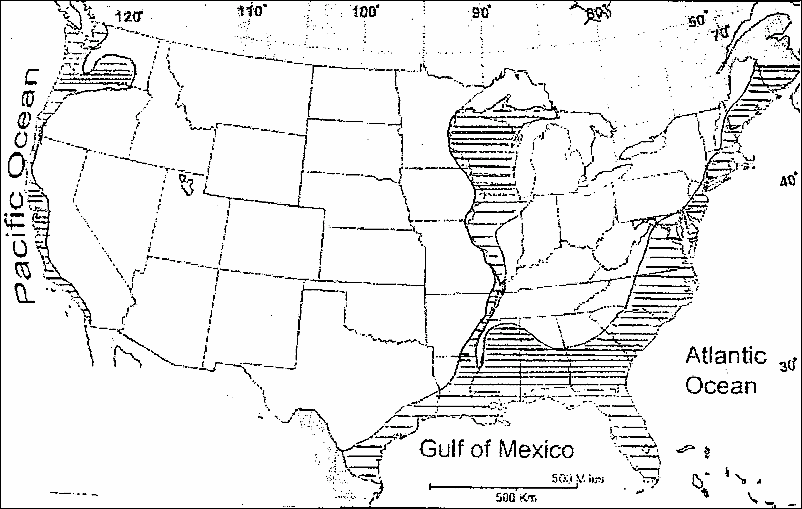 Future Navy Map of USA
