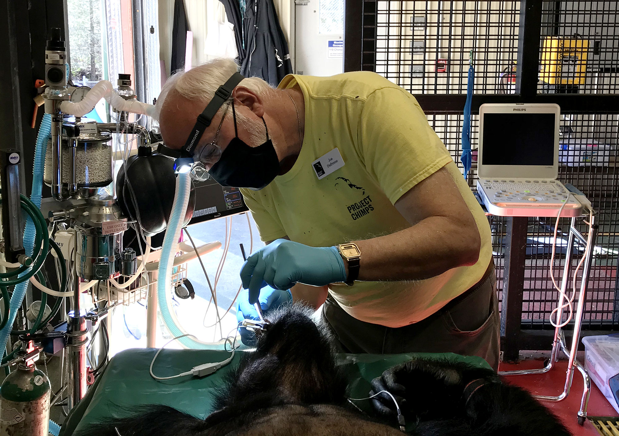 Meet Dr. Dufresne, DDS A Chimp Dentist Project Chimps