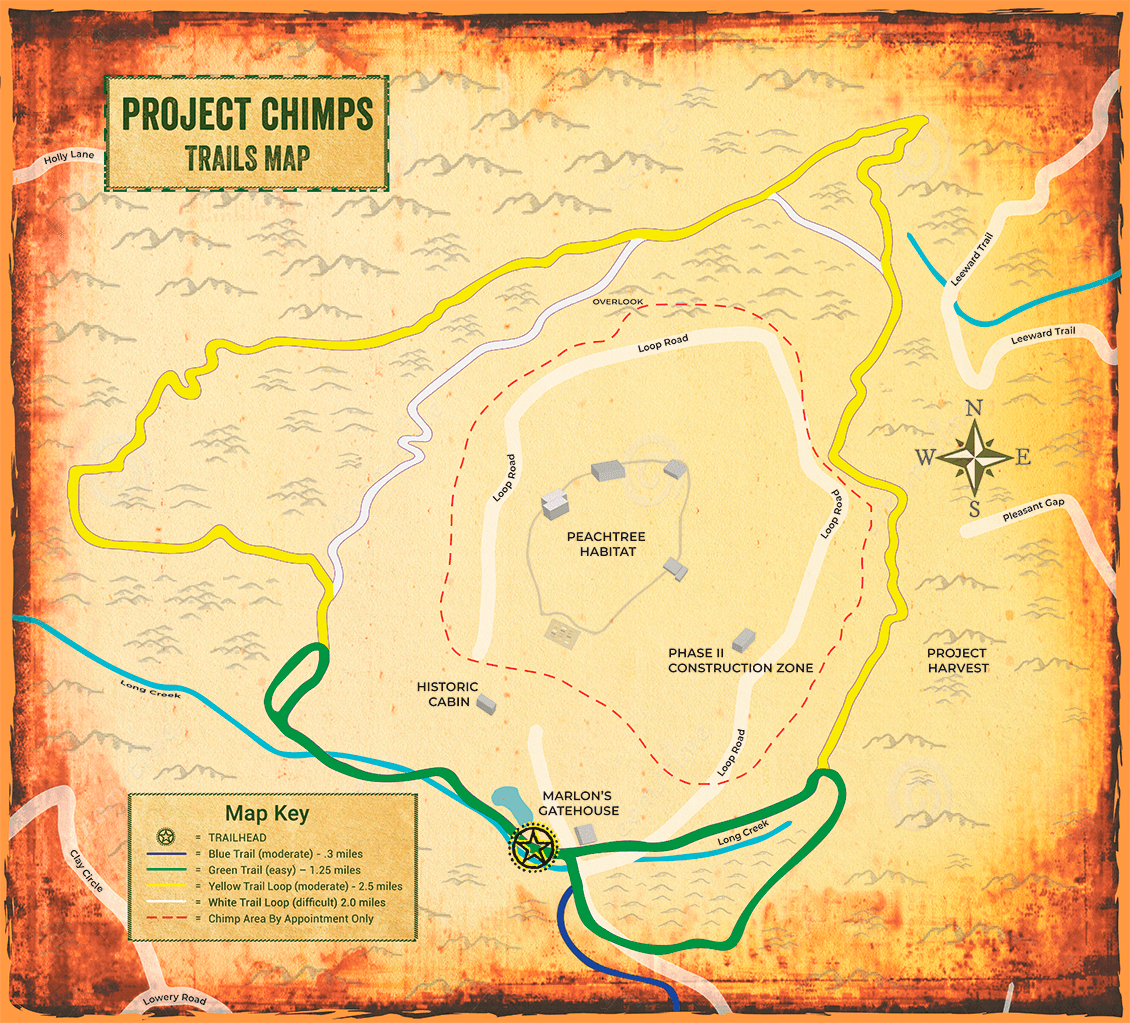 Hiking Trails Project Chimps
