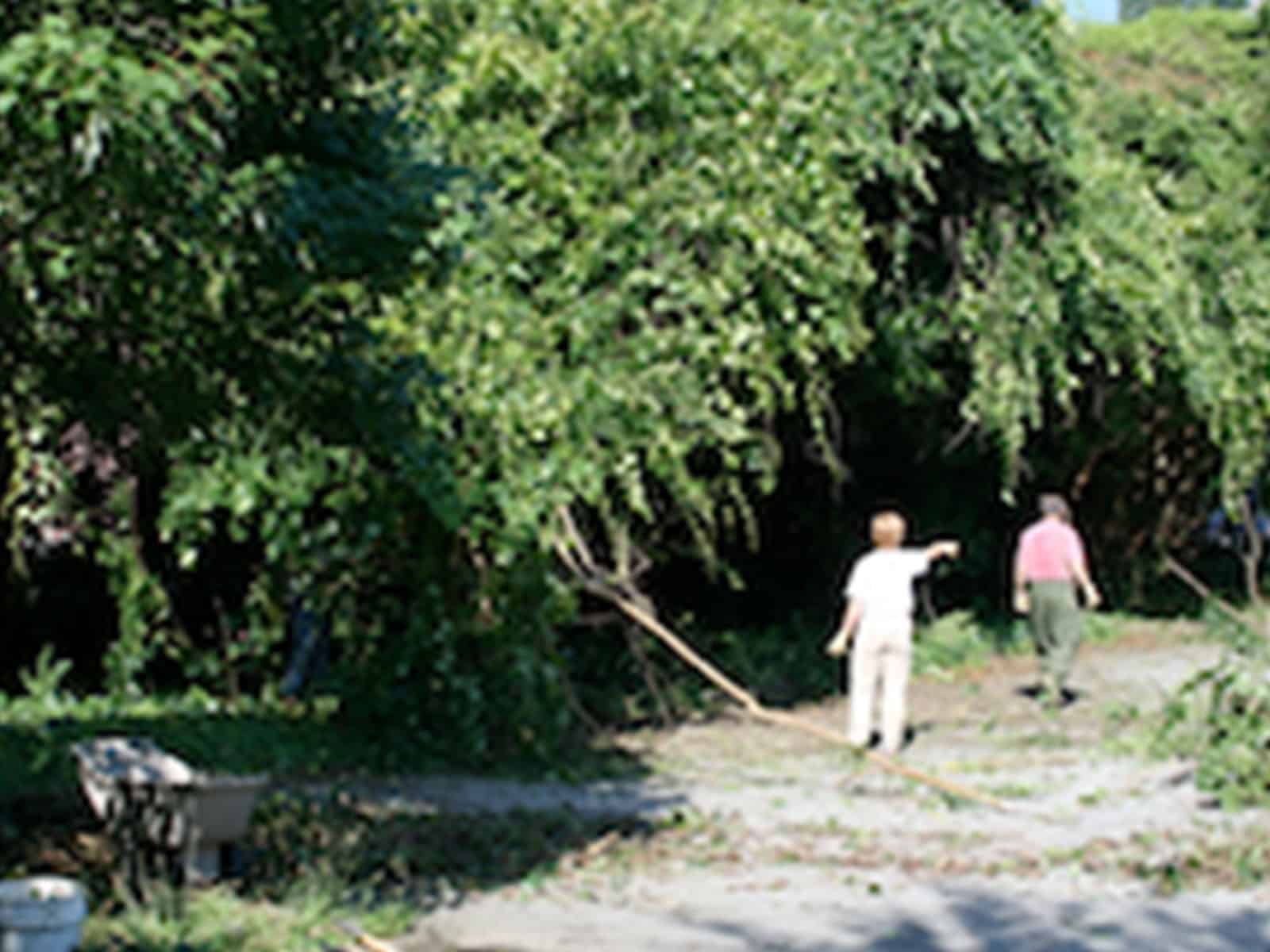 Cary, NC Life Experiences 2011 Project Evergreen