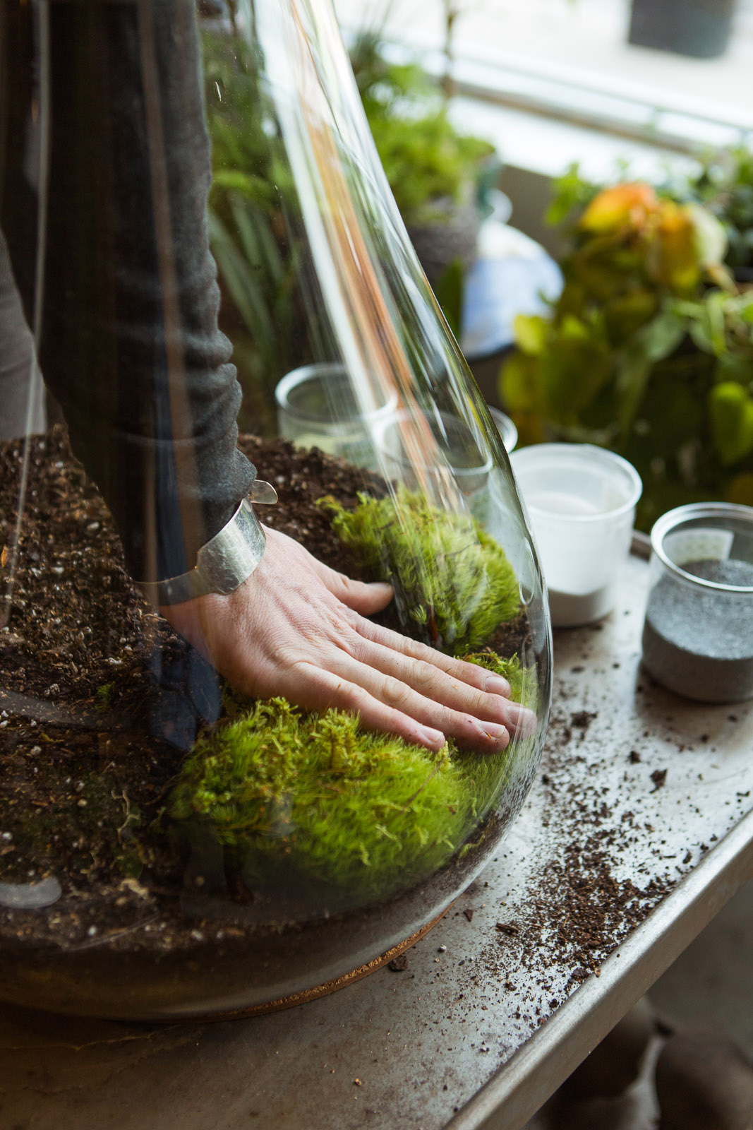 DIY Make Your Own Terrarium Project FairyTale